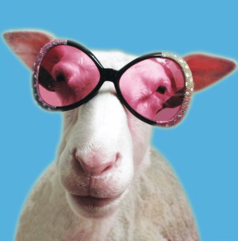 A stylish ewe sporting oversized glitter sunglasses, as she exudes confidence and charm—a playful and fashionable animal statement.